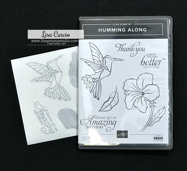 Best Tips for NEW Cling Stamps Lisa's Stamp Studio