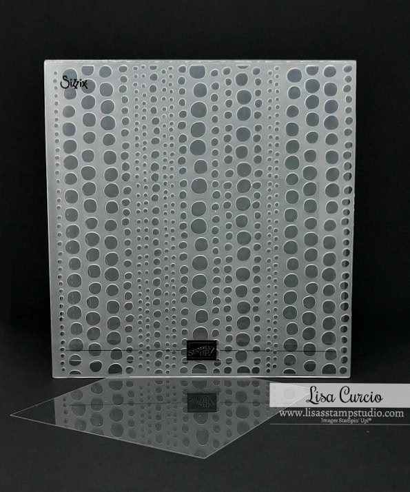 You Can Do What? How to Emboss on Acetate Sheets Lisa's Stamp Studio