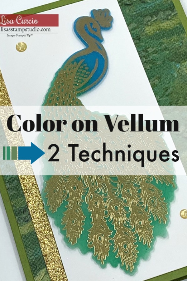 Color on Vellum! 2 Awesome Techniques You Can Watch