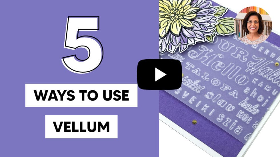 5 Card Making Ideas Using Vellum Lisa's Stamp Studio