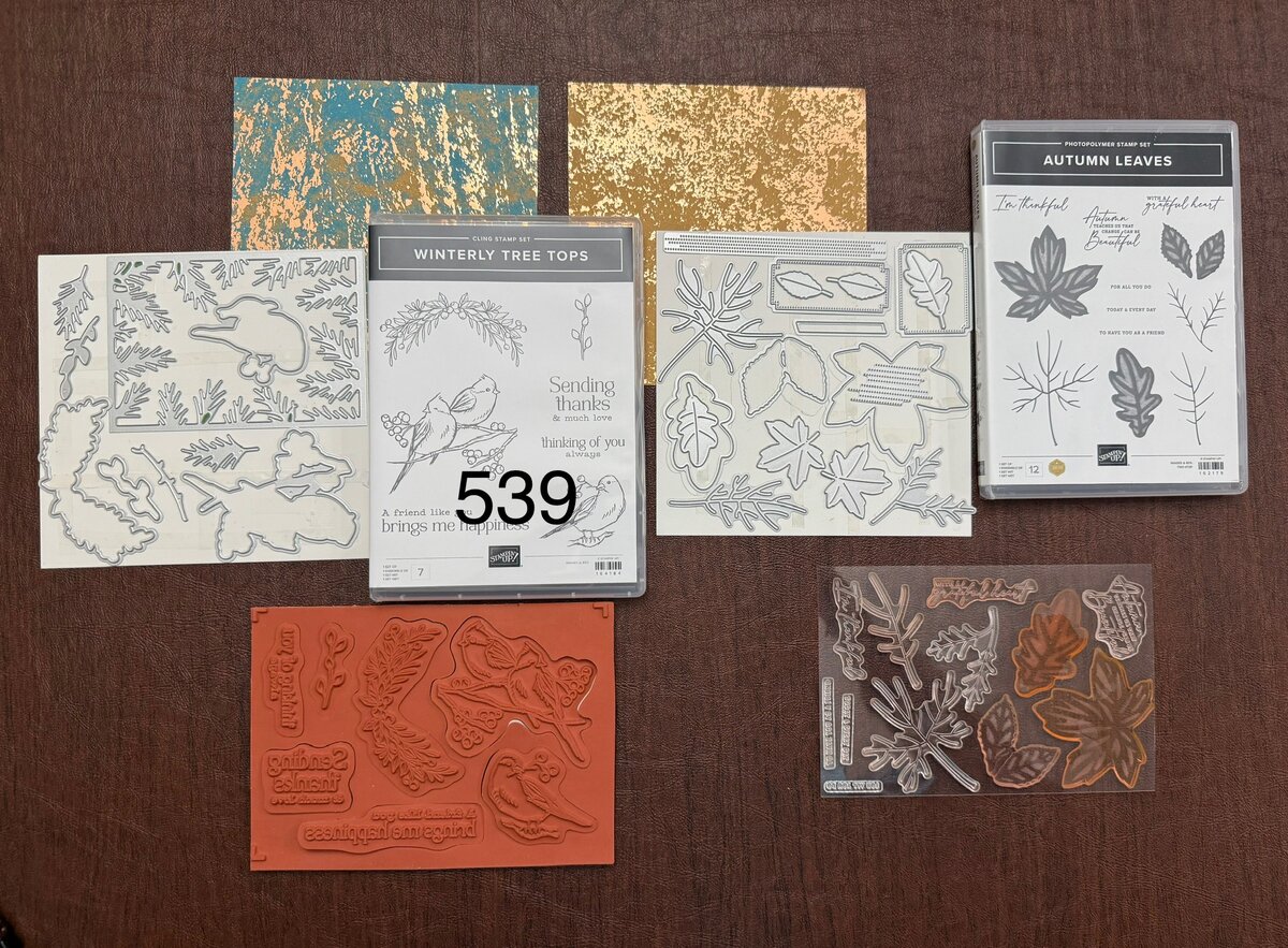 Grab Bag Box 539 - Lisa's Stamp Studio